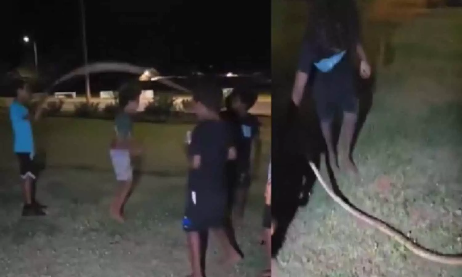 Viral Video: పాముతో స్కిప్పింగ్‌ ఏంట్రా నాయనా.? వైరల్‌ అవుతోన్న వీడియో