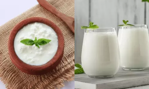 Curd Vs Lassi In Summer Which Is Better to Beat the Heat and To Stay Fit