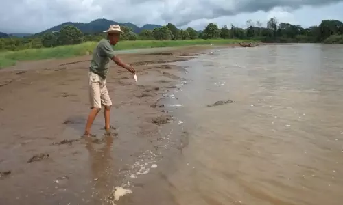 Viral Video Man Plays Dangerous Game with Crocodile Internet Shocked