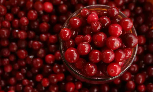 Cranberries: వారంలో ఒక్కసారి ఈ పండు తింటే.. మీ కిడ్నీలు పూర్తిగా క్లీన్ అయిపోతాయి.. Cranberries: వారంలో ఒక్కసారి ఈ పండు తింటే.. మీ కిడ్నీలు పూర్తిగా క్లీన్ అయిపోతాయి..