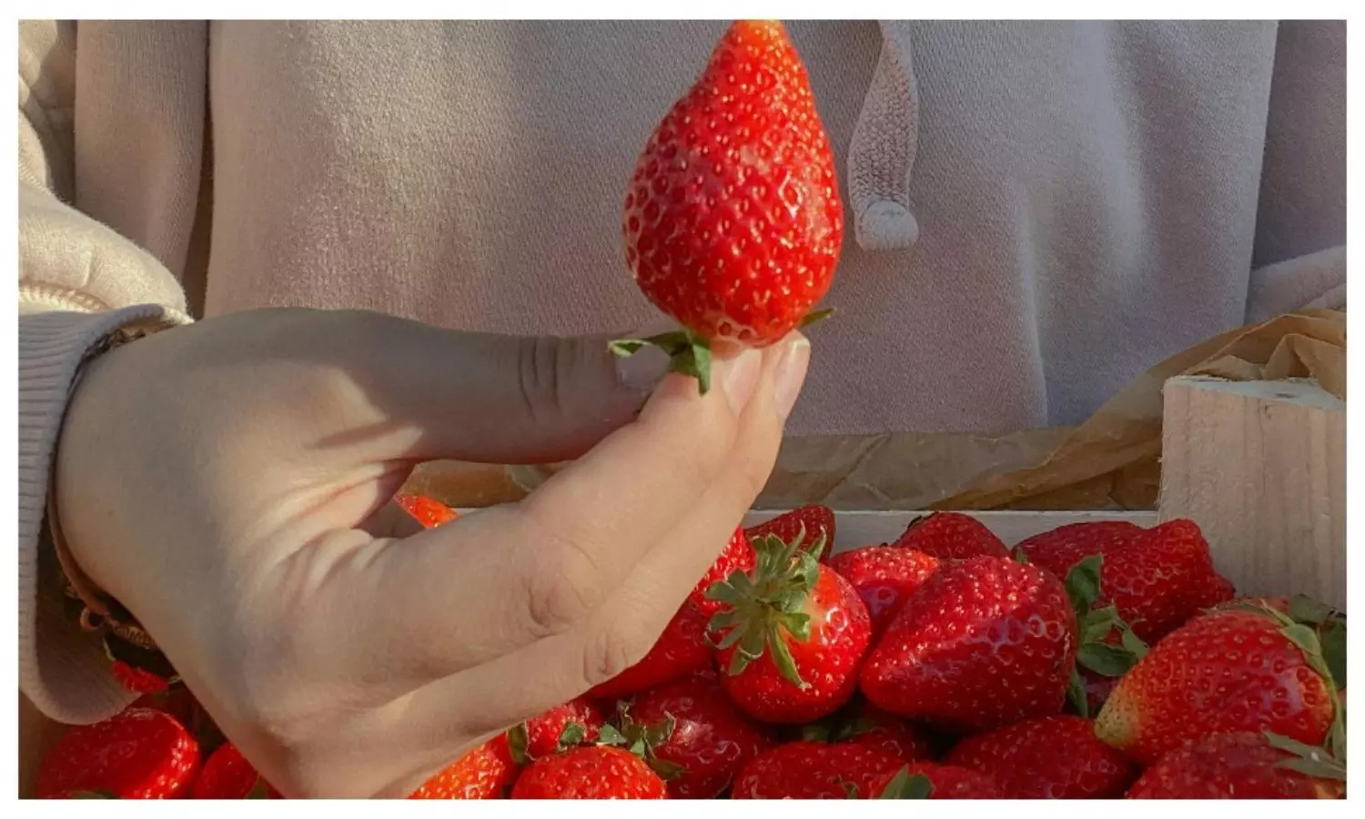 Top Red Fruits That Boost Your Heart Health and Prevent Diseases