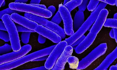 Scientists Engineered Bacteria That Make Biodegradable Plastic Scientists Engineered Bacteria That Make Biodegradable Plastic