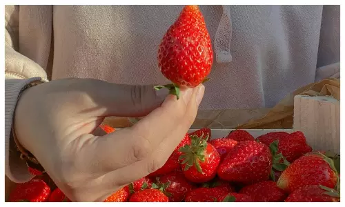 Top Red Fruits That Boost Your Heart Health and Prevent Diseases