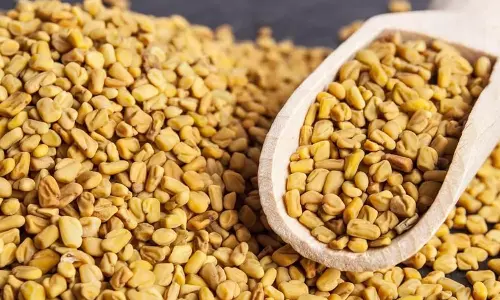 Soaked Fenugreek