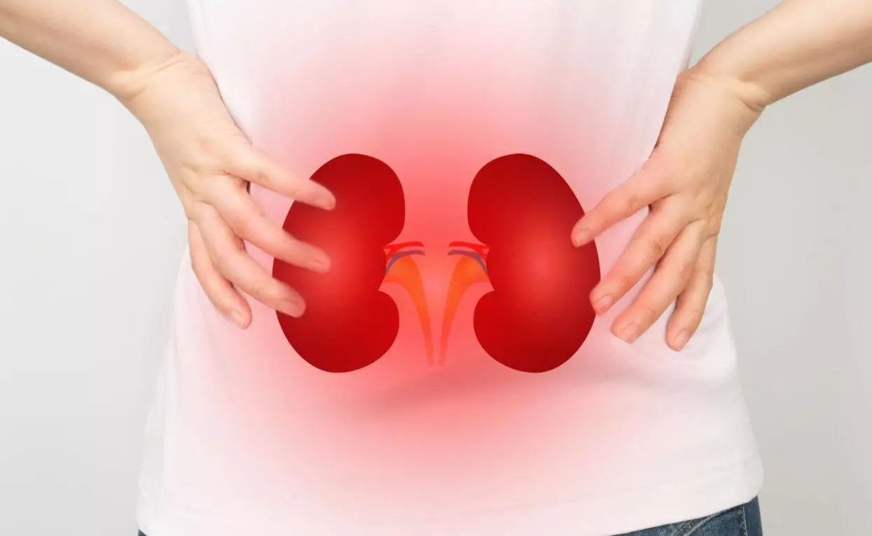 Kidney Damage: కిడ్నీలు పాడవుతే ఉదయం పూట ఈ 5 లక్షణాలు కనిపిస్తాయట.. Kidney Damage: కిడ్నీలు పాడవుతే ఉదయం పూట ఈ 5 లక్షణాలు కనిపిస్తాయట..