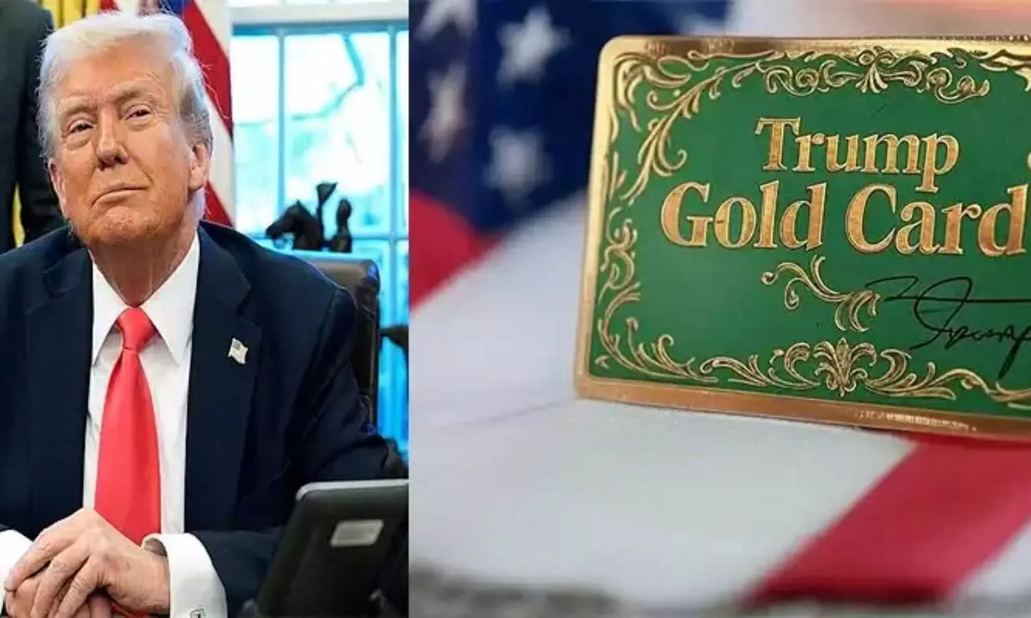Gold Card Gold Card