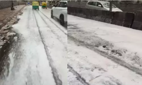 mysterious white foam seen on Bengaluru roads after heavy rainfall, reason may be soap nut trees flowers and nuts