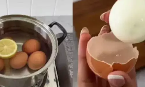 Viral Video Viral Video