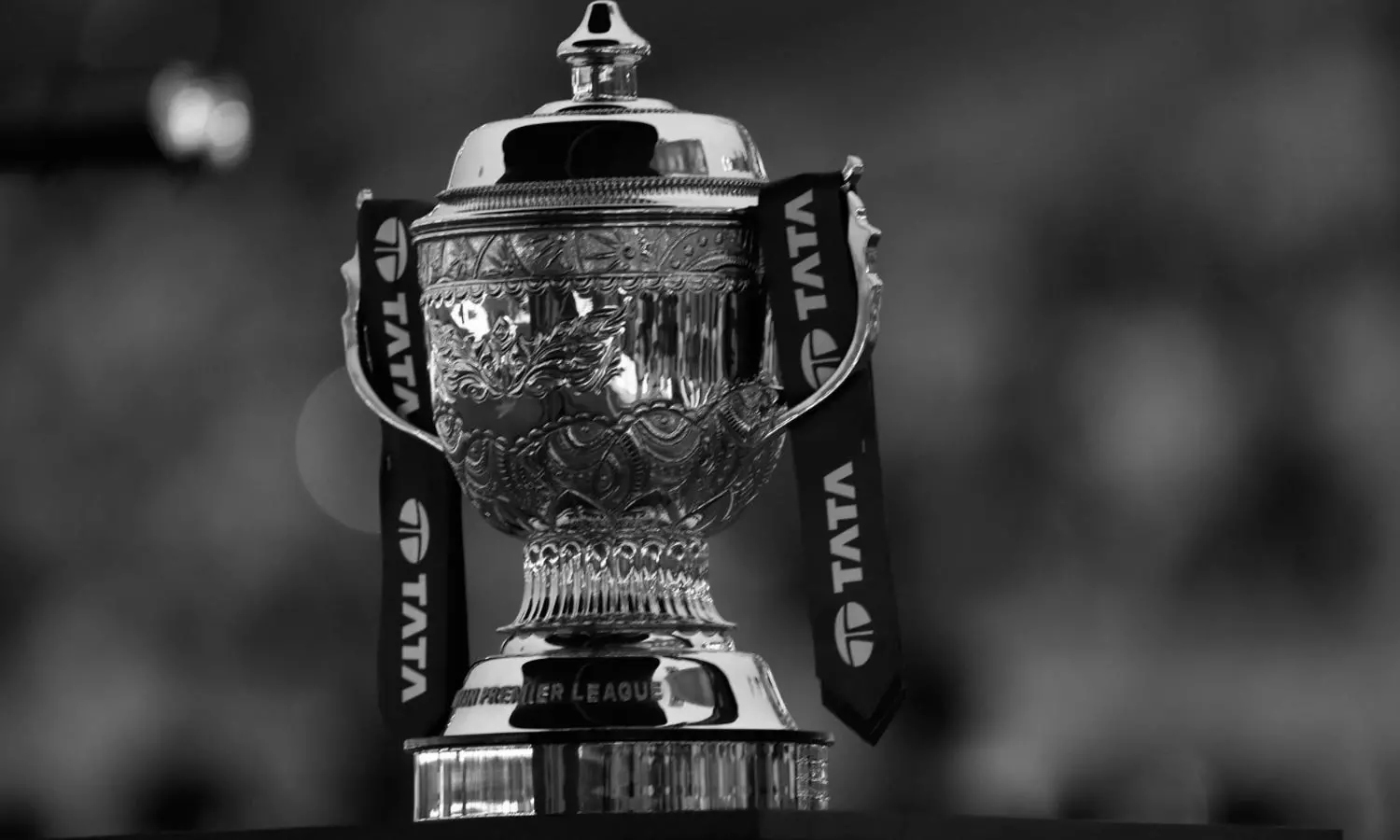 Cricket News Cricket News