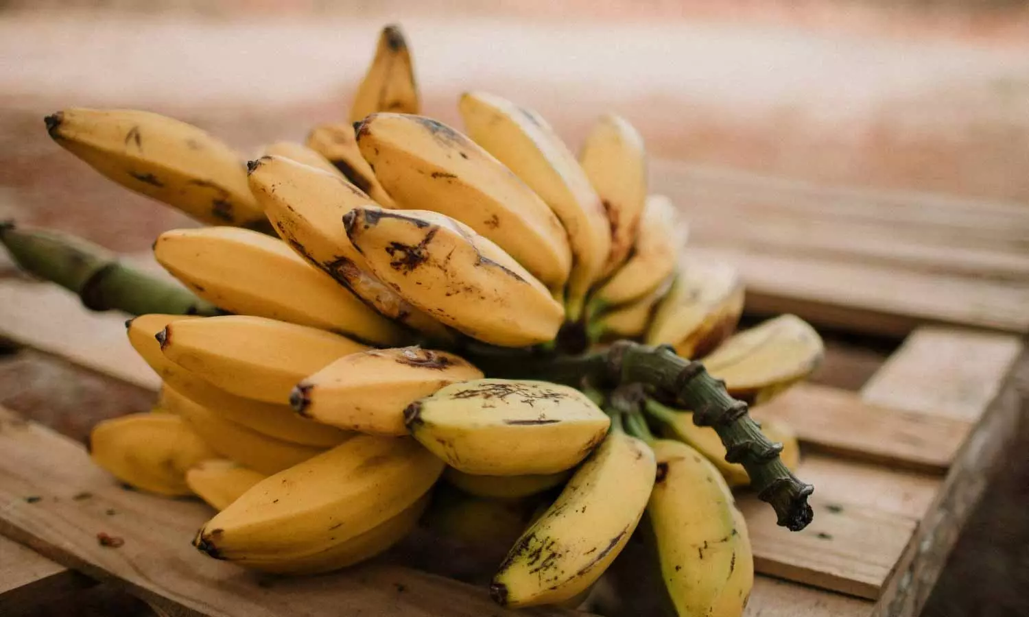 Potassium Rich Foods