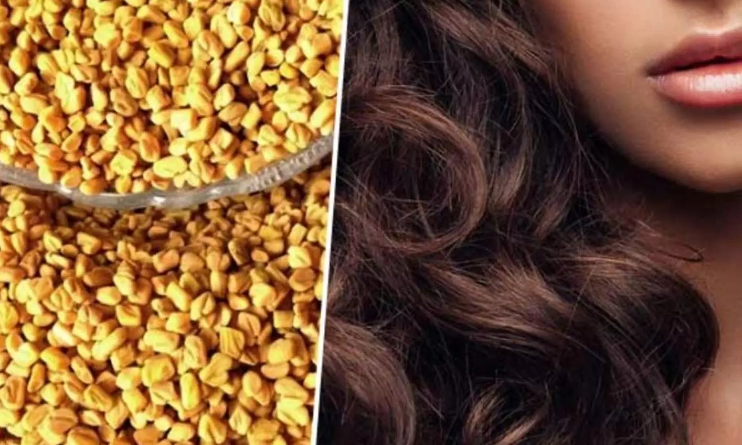 Fenugreek Seeds: జుట్టును పొడుగ్గా ..మందంగా చేసే మెంతిపొడిని ఇలా ఉపయోగించండి .. Fenugreek Seeds