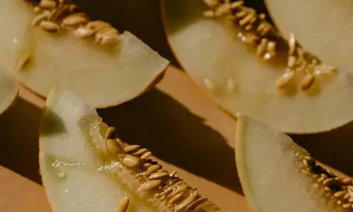 Muskmelon Health Benefits