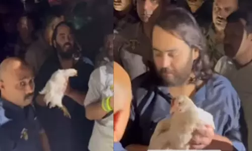 Viral Video: వ్యాన్ ఆపి.. వందలాది కోళ్లను కాపాడిన అనంత్ అంబానీ..వైరల్ వీడియో