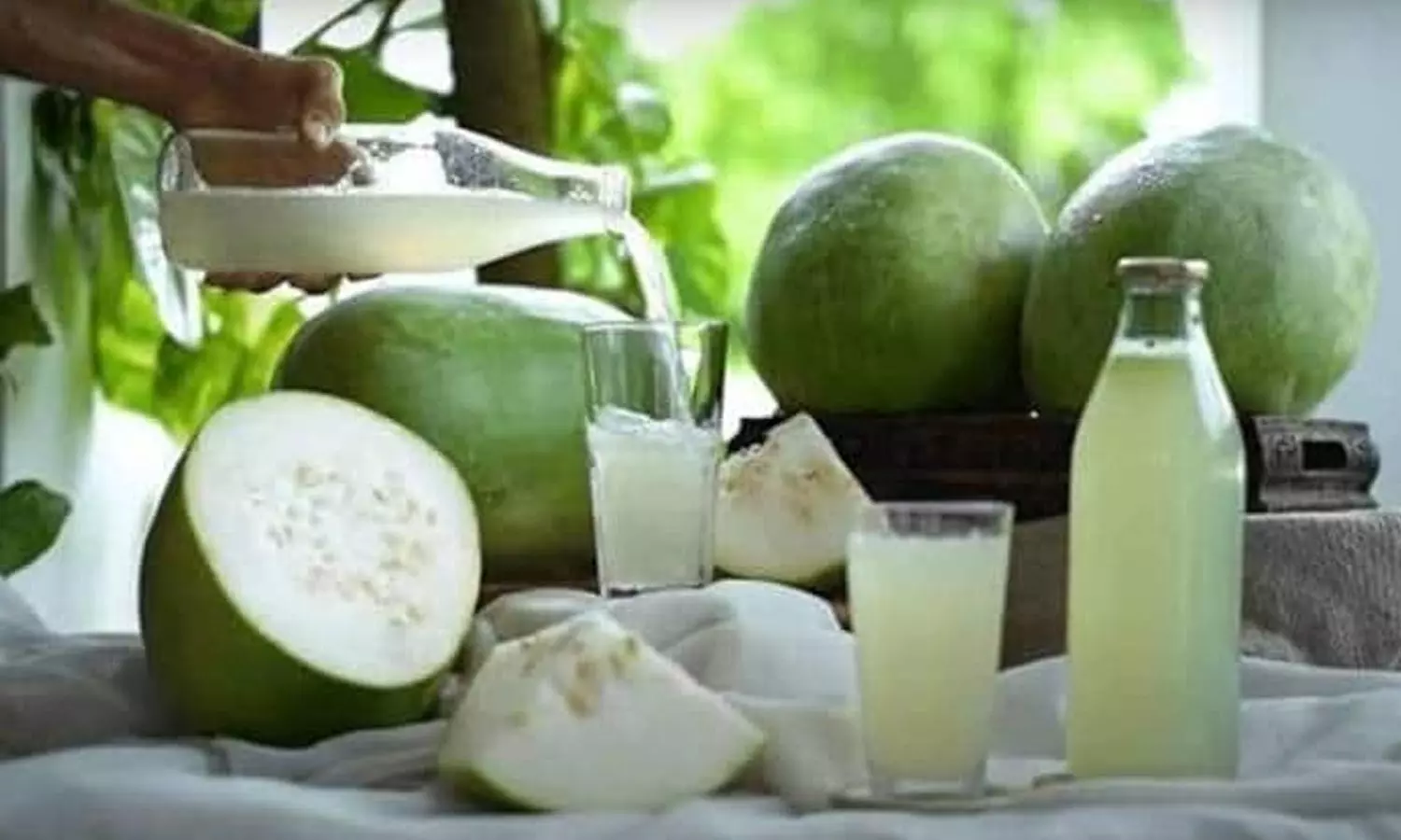 Ash Gourd: ఈ జ్యూస్ ఒక గ్లాసు తాగితే కిడ్నీలో రాళ్లు కరిగిపోతాయి.. జీవితంలో షుగర్ రాదు Ash Gourd