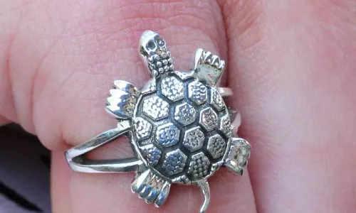 Tortoile Ring