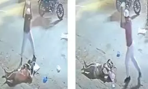 Hyderabad: భార్య కడుపుతో ఉన్నా కనికరించలేని దుర్మార్గుడు..నడిరోడ్డుపై సిమెంటు ఇటుకలతో దాడి Hyderabad: భార్య కడుపుతో ఉన్నా కనికరించలేని దుర్మార్గుడు..నడిరోడ్డుపై సిమెంటు ఇటుకలతో దాడి