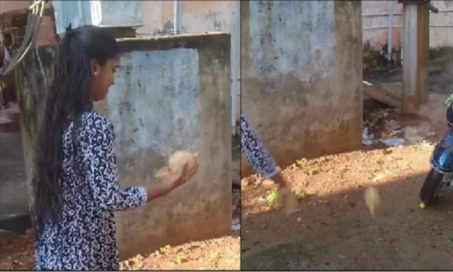 Viral Video: ఈ కాలం అమ్మాయిలతో ఇలాగే ఉంటుంది.. వైరల్ వీడియో..! Young Woman Coconut Puja Goes Hilariously Wrong Internet Cant Stop Laughing Viral Video