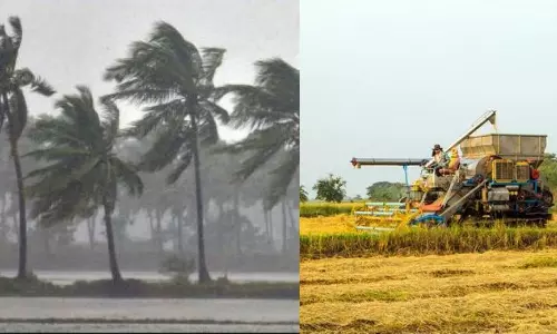 IMD predicts rains in Telangana, scattered showers and thunderstorms with gusty winds expected across Telangana