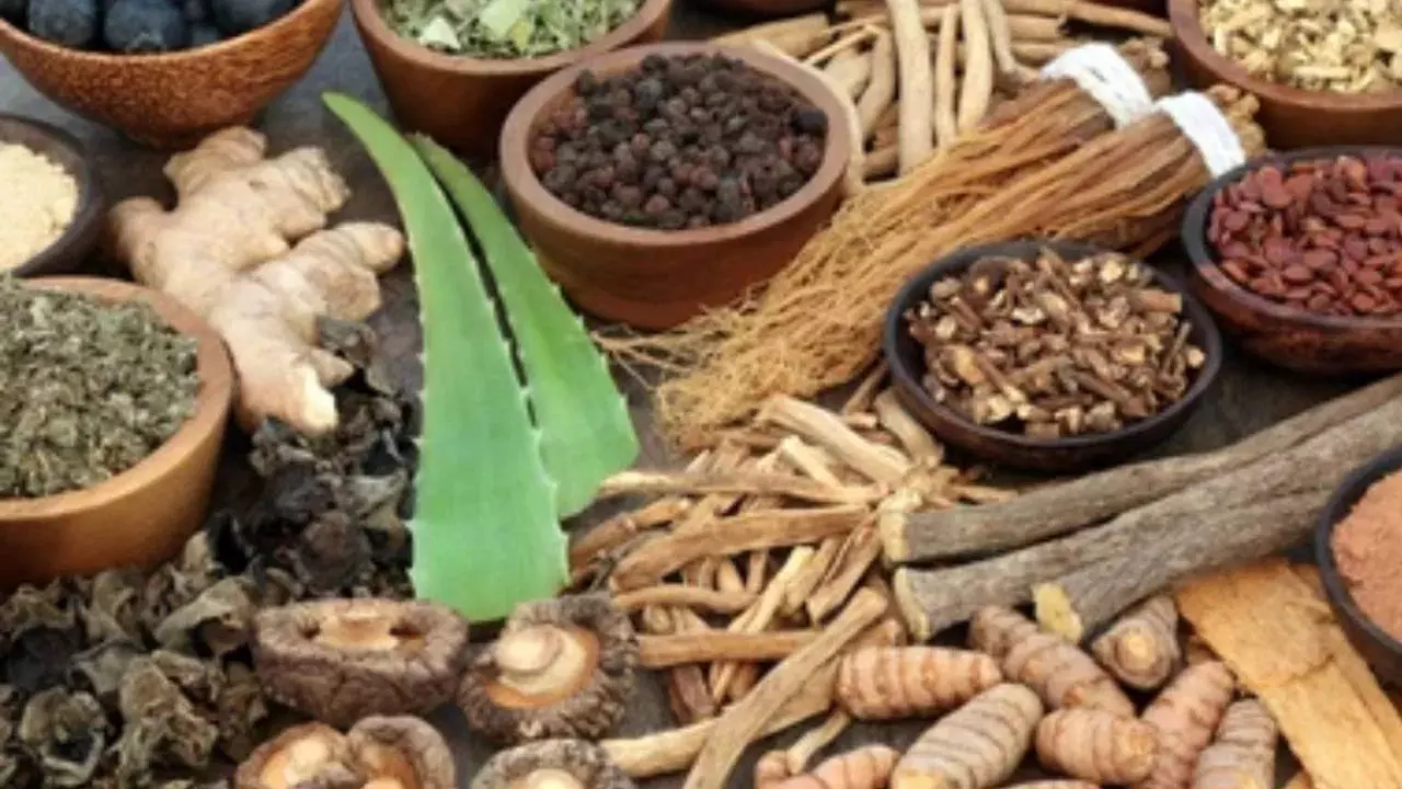 Health Tips : ఖాళీ కడుపుతో అశ్వగంధ జ్యూస్: దుష్ప్రభావాలు తెలుసుకోండి!