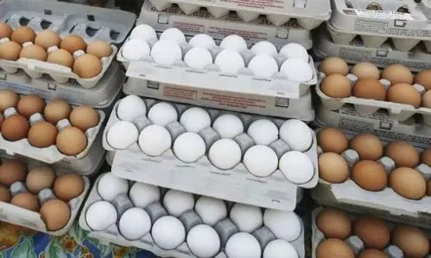 USA EGGS RATES: అమెరికాలో డజను కోడిగుడ్ల ధర తెలిస్తే గుండె గుభేల్ మంటుంది USA EGGS RATES: అమెరికాలో డజను కోడిగుడ్ల ధర తెలిస్తే గుండె గుభేల్ మంటుంది