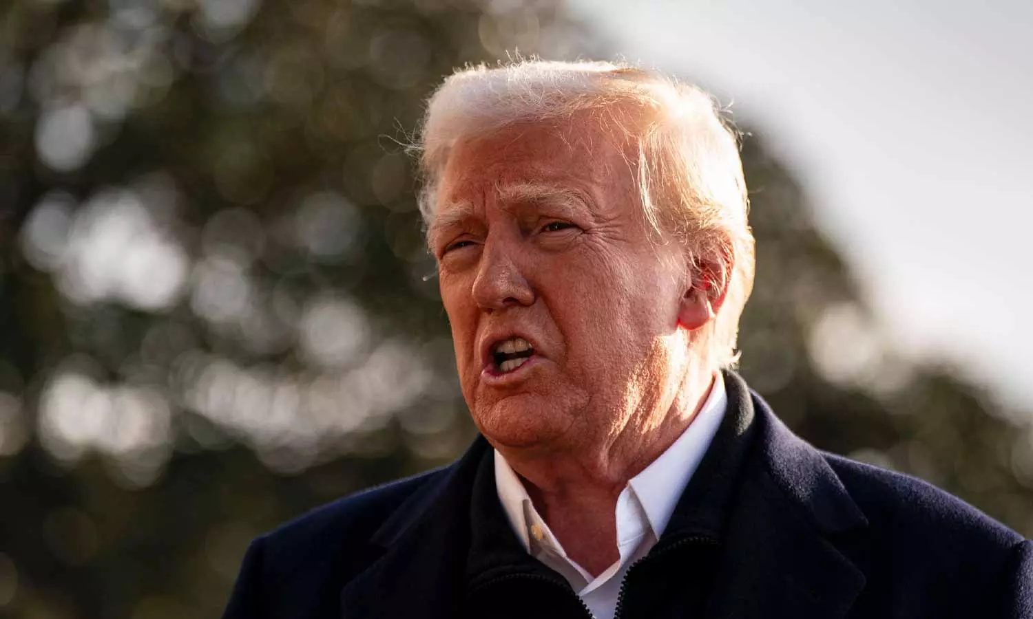 Donald Trump Donald Trump