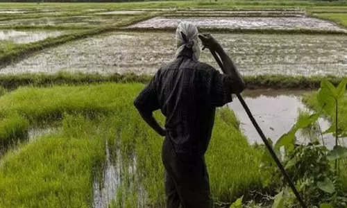 Central Govt Scheme: రైతులకు అదిరే శుభవార్త.. మంచి పథకం తీసుకువచ్చిన మోదీ సర్కార్‌..!