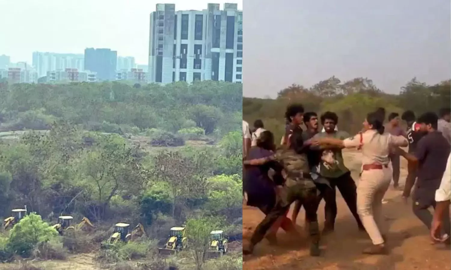 Supreme Court verdict on Kancha Gachibowli lands row, warns Telangana govt to restore 100 acres of land or face jail Supreme Court verdict on Kancha Gachibowli lands row, warns Telangana govt to restore 100 acres of land or face jail
