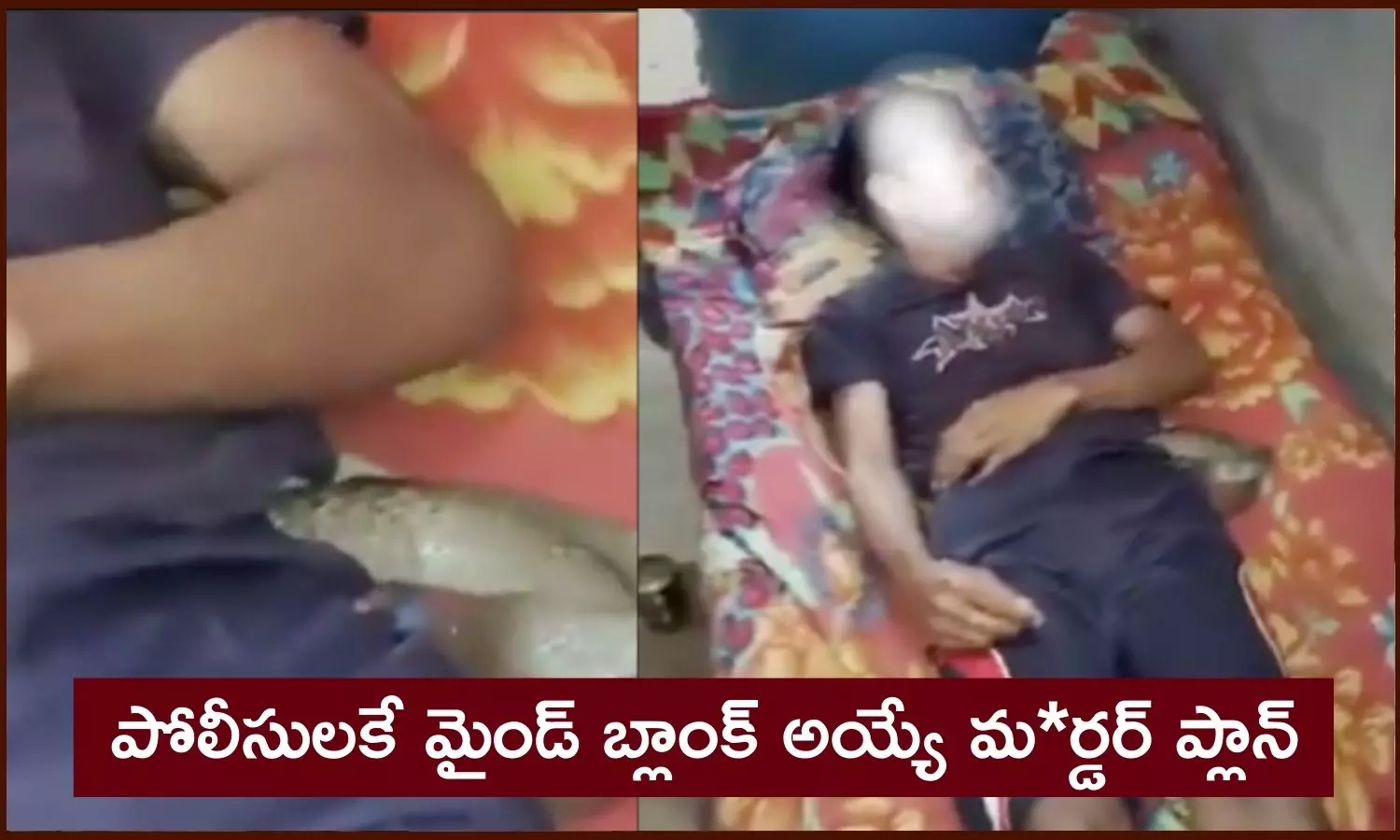 రూ. 1000 తో పామును కొని తెలివిగా భర్తను మర్డర్ చేసింది... కానీ... Meerut Murder case mystery, Woman strangles husband to death, covered murder plot as snake bite