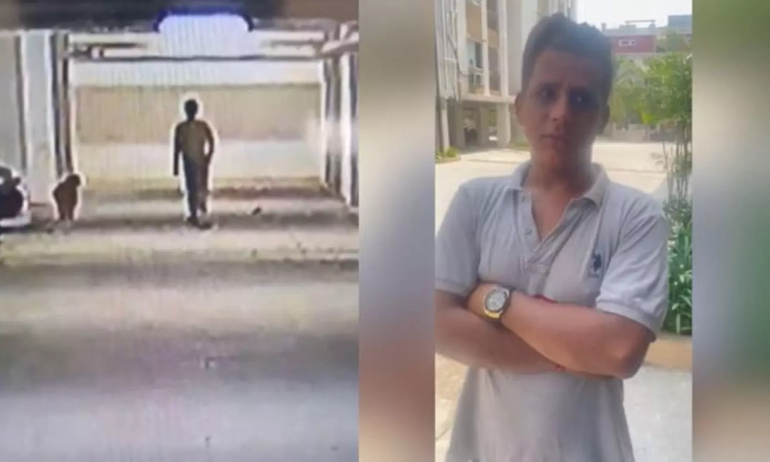 Hyderabad pet: కుక్క పిల్లను గోడకేసి కొట్టి చంపేసిన క్రూరుడు.. హైదరాబాద్ ఫతేనగర్‌లో దారుణ ఘటన!