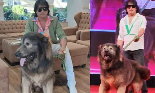 Dog Satish RS 50 Crore Dog Controversy ED Investigation Reveals the Truth Behind Viral Claim Dog Satish RS 50 Crore Dog Controversy ED Investigation Reveals the Truth Behind Viral Claim