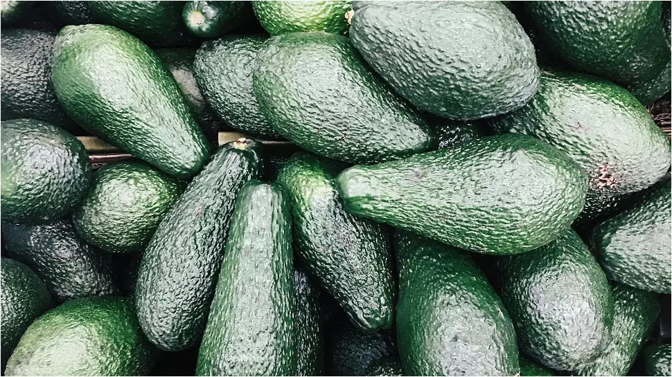 Avocado A Powerful Superfruit That Fights Cancer and Protects Your Heart