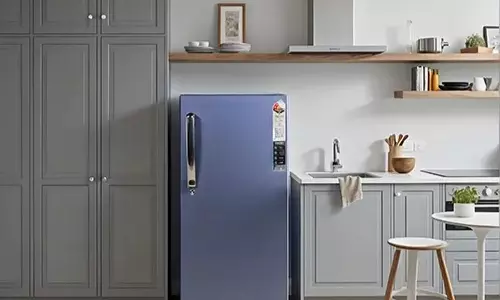 Viral Video Snake Found Inside Fridge Shocking Summer Surprise Leaves Netizens Speechless Viral Video Snake Found Inside Fridge Shocking Summer Surprise Leaves Netizens Speechless