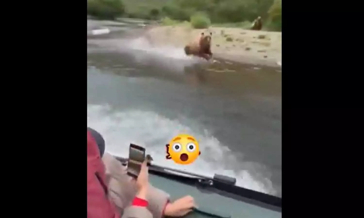 Viral Video: చిరుతలా దూసుకొచ్చిన ఎలుగుబంటి.. ప్రాణ భయంతో పర్యాటకులు Viral Video