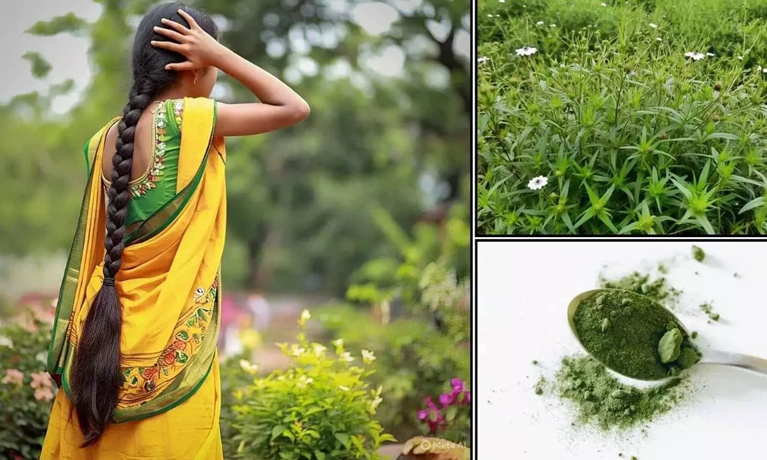 Hair Tips: అందమైన, ఆరోగ్యకరమైన జుట్టు కోసం గుంటకలగర.. ఈ 5 చిట్కాలు పాటించండి Hair Tips