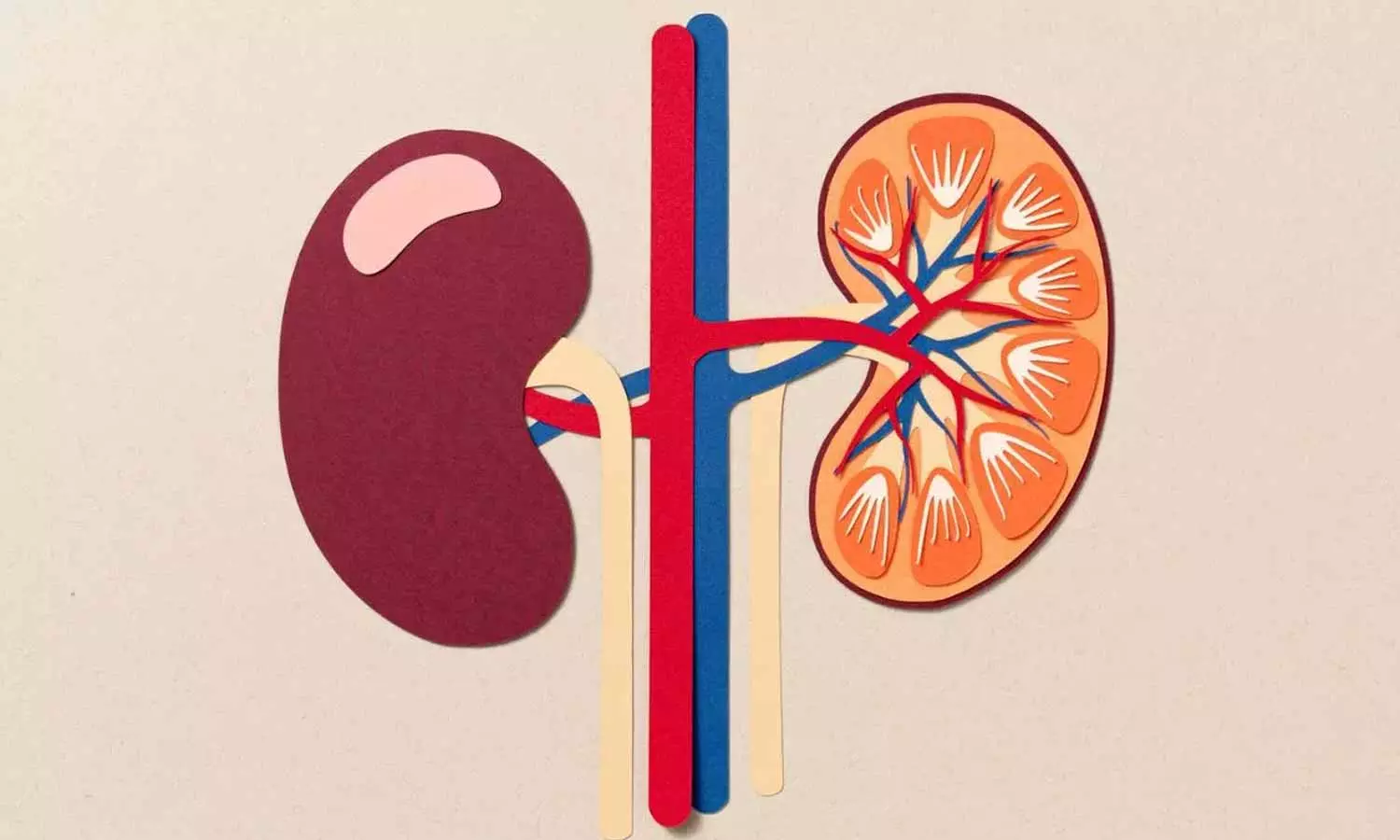 Kidney Health