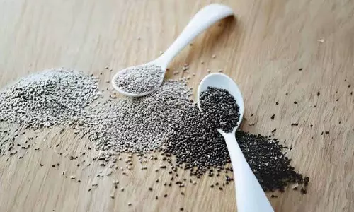 Chia Seeds Chia Seeds