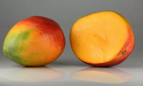 Mango: మామిడి పండు తింటున్నారా.? జాగ్ర‌త్త‌గా లేక‌పోతే క్యాన్స‌ర్ వ‌స్తుంది