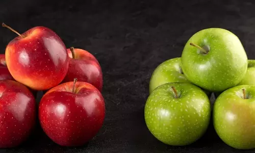 Green Or Red Apple Green Or Red Apple