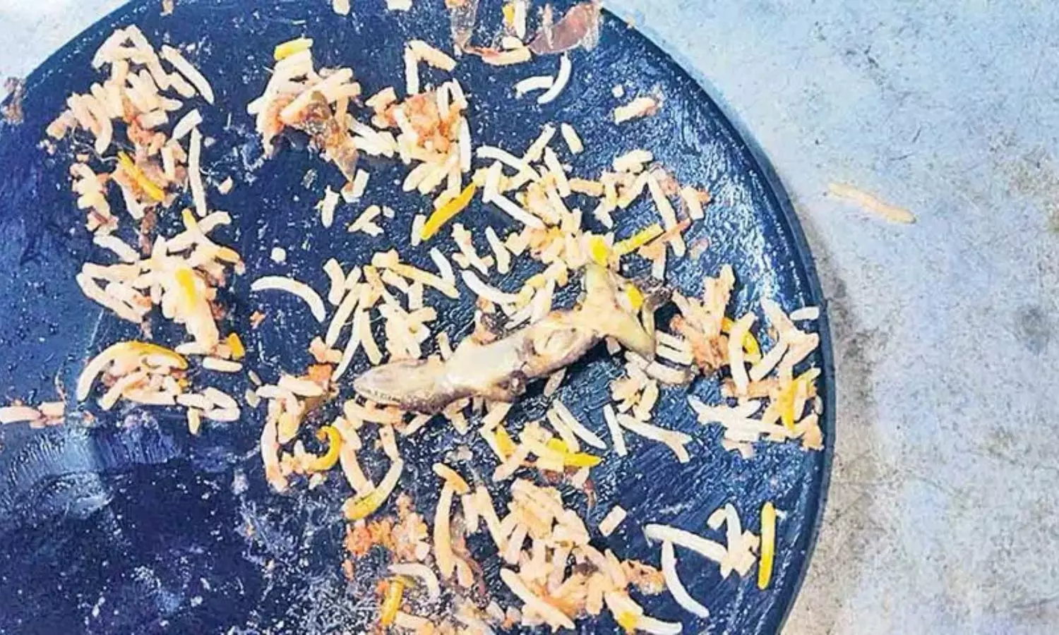 Hyderabad: బిర్యానీలో బల్లి.. నిలదీసిన కస్టమర్కు యజమాని సమాధానం ఏంటంటే Hyderabad: బిర్యానీలో బల్లి.. నిలదీసిన కస్టమర్కు యజమాని సమాధానం ఏంటంటే