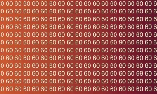 Optical Illusion Find 90 69 Numbers in Group of 60 Numbers