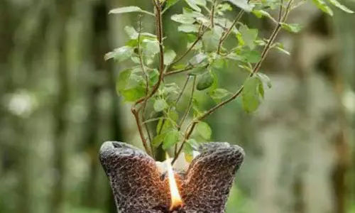 Vastu Tips Vastu Tips