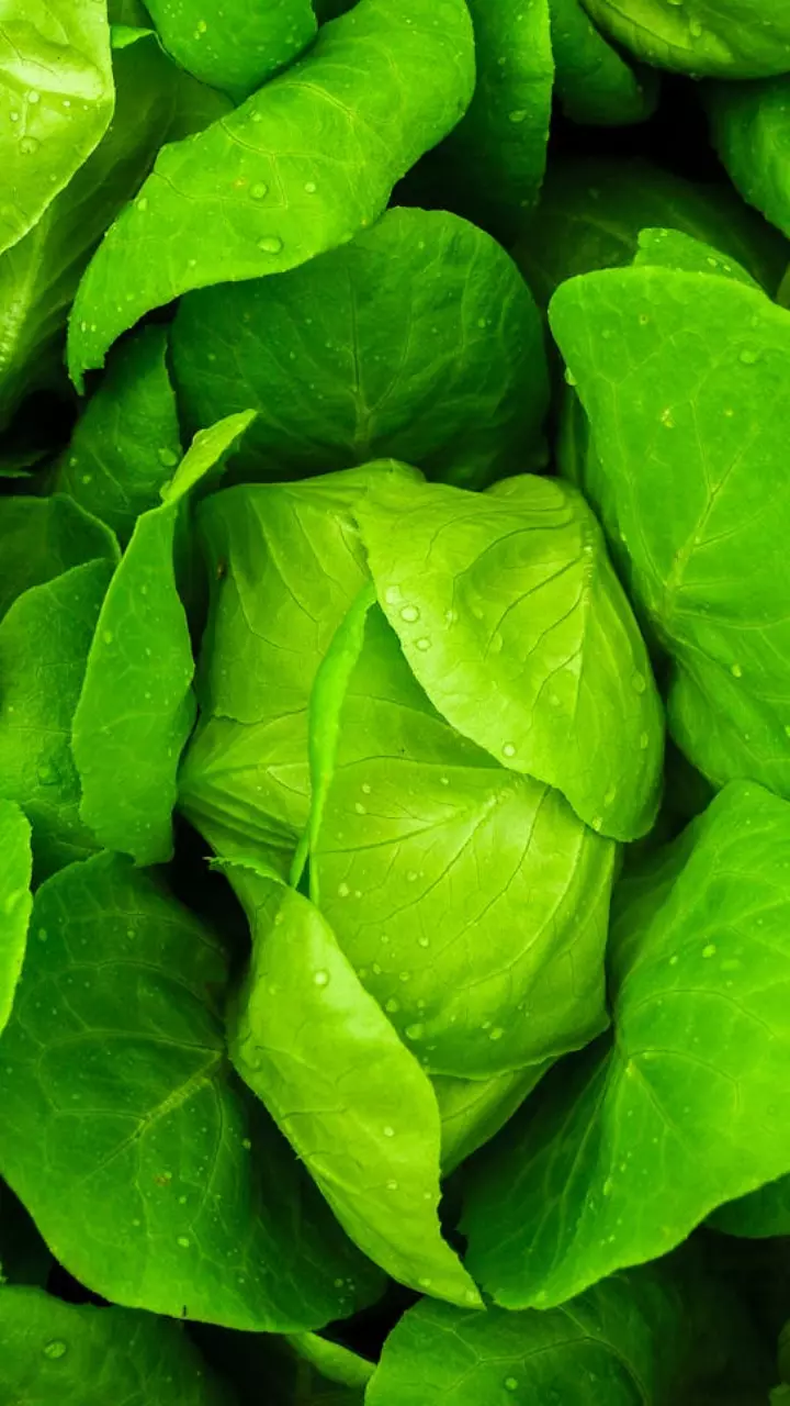 ఈ ఆరోగ్య సమస్యలు ఉన్నవారు పాలకూర తింటే ఇబ్బందుల్లో పడ్డట్లే