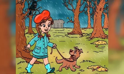 Optical Illusion Test Optical Illusion Test