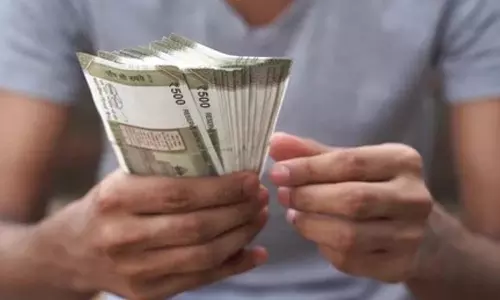 Business Idea: అవును ఈ చెట్ల‌కు నిజంగానే డ‌బ్బులు కాస్తాయి.. బెస్ట్ బిజినెస్ ఐడియా