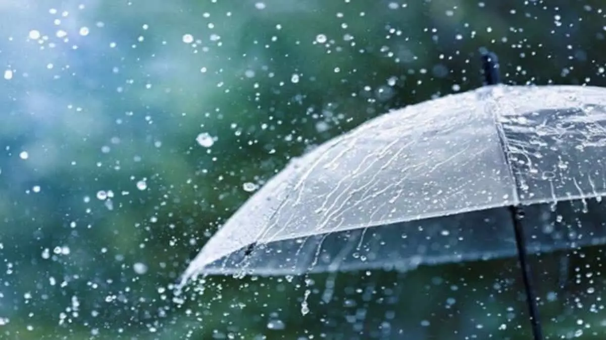 Rain Alert: Telangana to Witness Showers for the Next 4 Days, IMD Issues Yellow Alert Rain Alert: Telangana to Witness Showers for the Next 4 Days, IMD Issues Yellow Alert