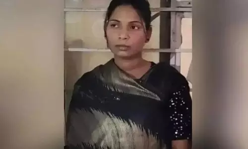 Viral News Viral News