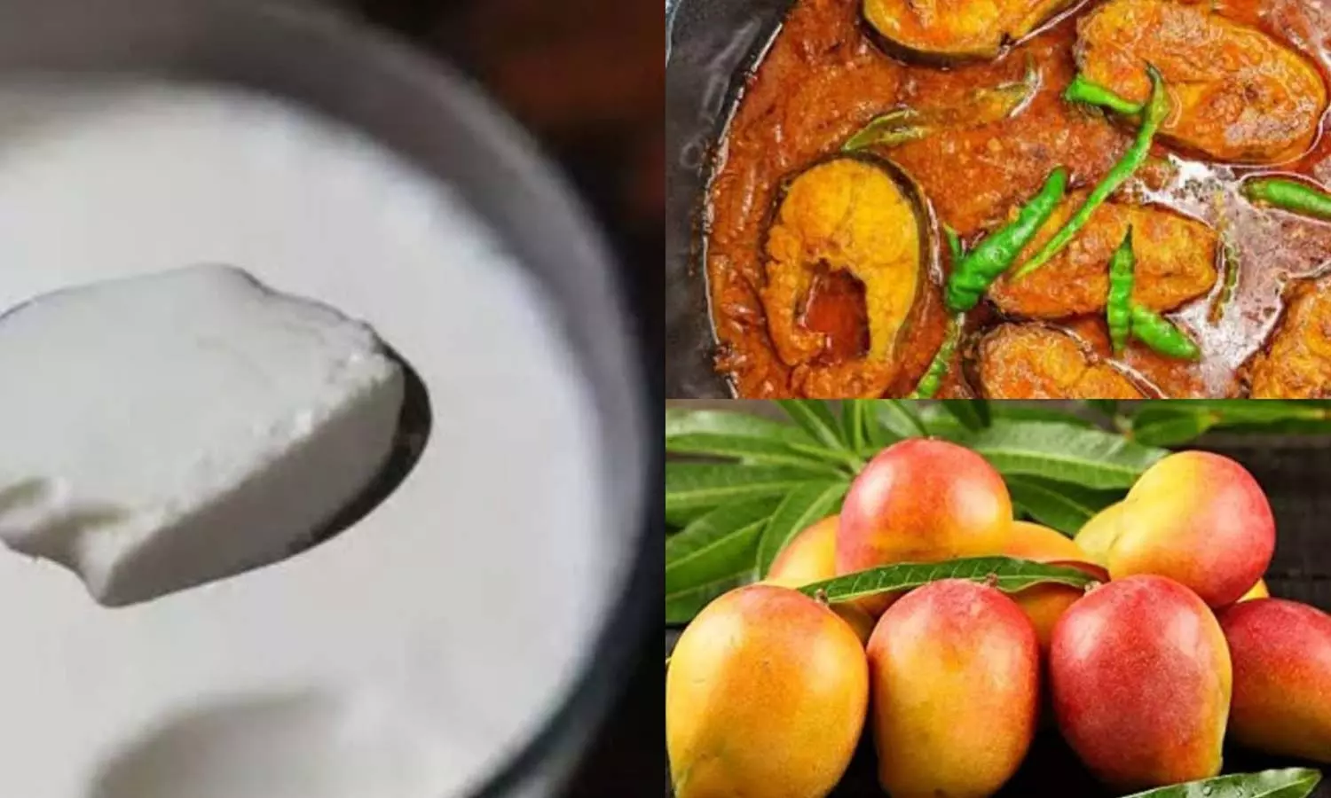 Curd Curd