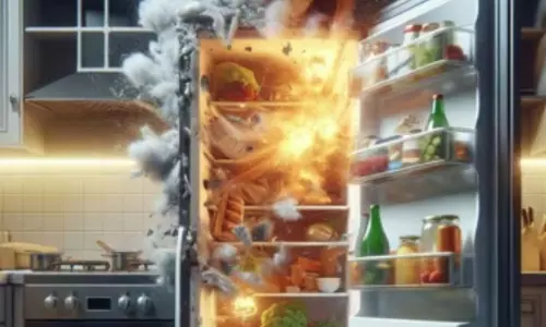 Refrigerator: రిఫ్రిజిరేటర్ చుట్టూ ఇవి ఉంటే పేలిపోవడం ఖాయం.. Refrigerator: రిఫ్రిజిరేటర్ చుట్టూ ఇవి ఉంటే పేలిపోవడం ఖాయం..