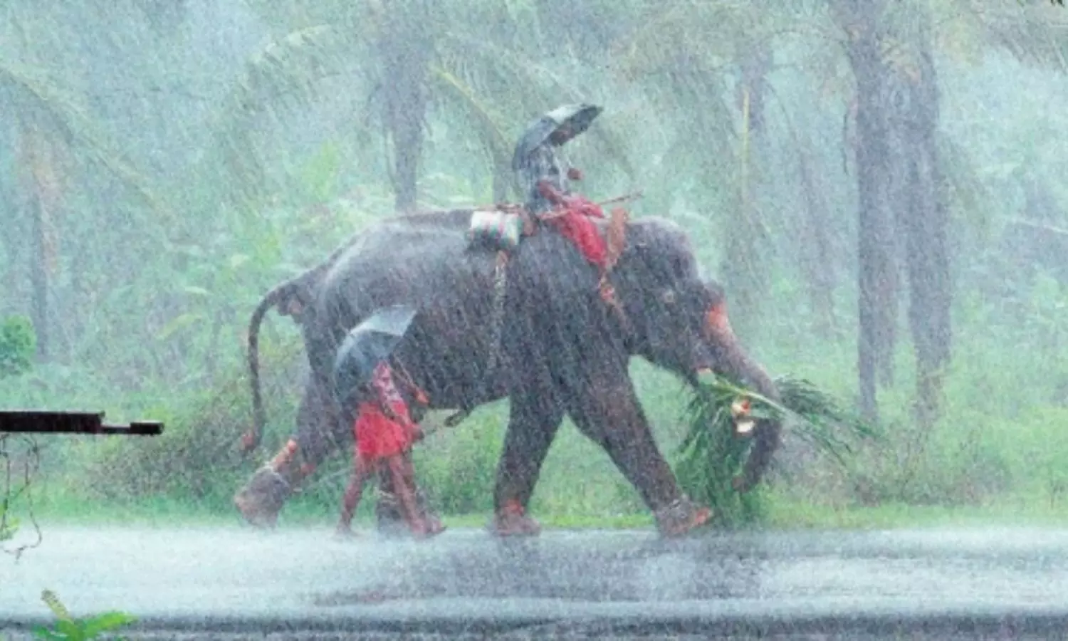 Southwest Monsoon Hits Kerala 8 Days Early in 2025 Rainy Season Begins Southwest Monsoon Hits Kerala 8 Days Early in 2025 Rainy Season Begins