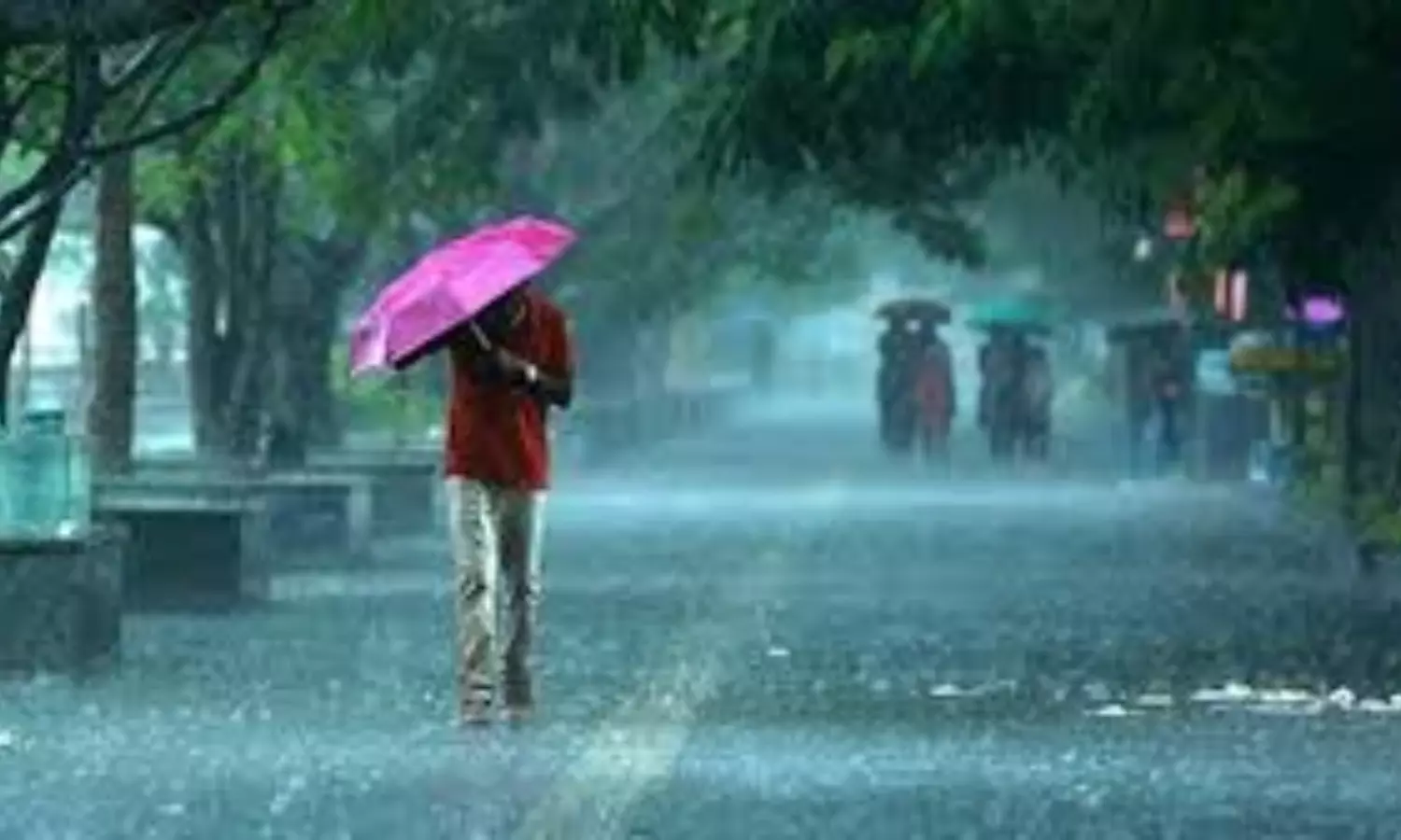 Southwest monsoon hits Kerala Southwest monsoon hits Kerala